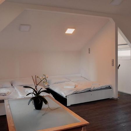 Apartmany Centrum Nový Bor Esterno foto