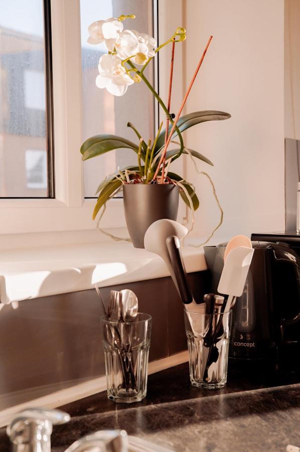 Apartmany Centrum Nový Bor Esterno foto