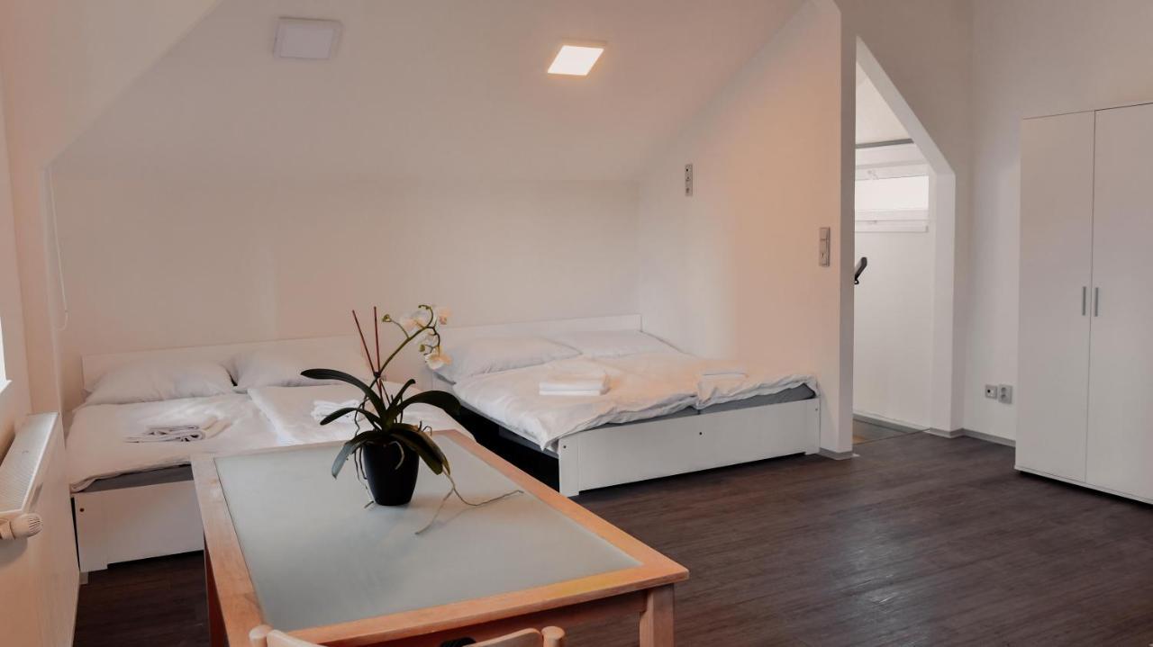 Apartmany Centrum Nový Bor Esterno foto